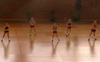 Quelques vidéos de compétitions de Gymnastique Aérobic
