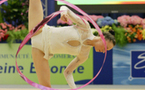GYMNASTIQUE RYTHMIQUE