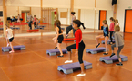  INI AEROBIC