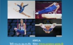 resultats:1/2 Finale Nord des championnats de France par équipe GAF et GAM: 13 et 14 avril 2013
