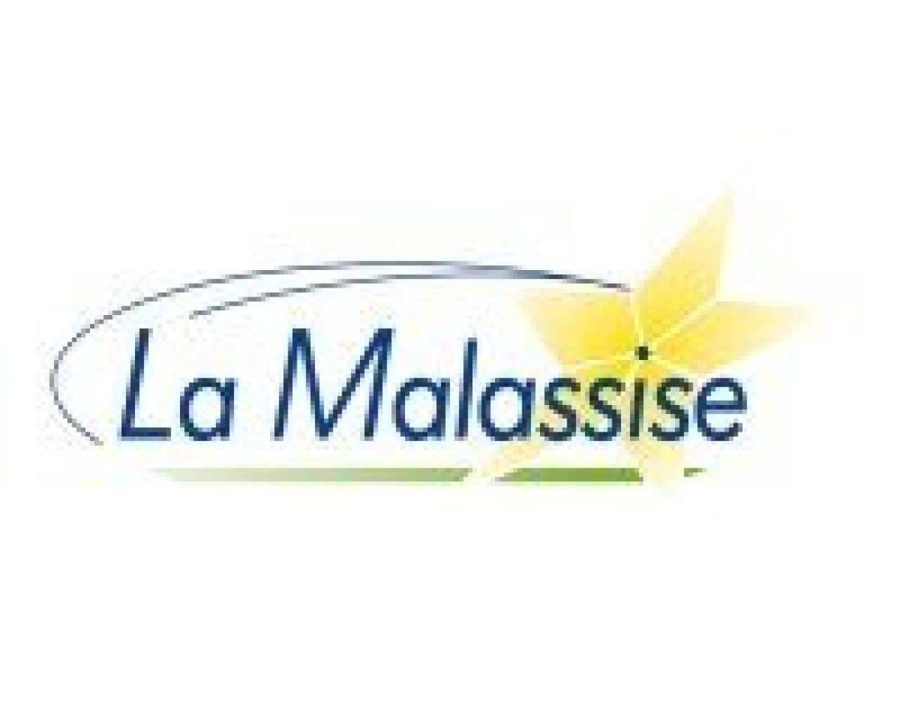 Collège Lycée Saint Joseph, La Malassise