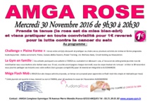Flash-Mob pour l'AMGA Rose du Mercredi 30 Novembre 2016