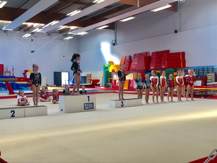 Gymnastique Féminine: 2 Podiums en Fédéral B pour l'AMGA!