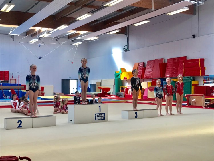 Gymnastique Féminine: 2 Podiums en Fédéral B pour l'AMGA!