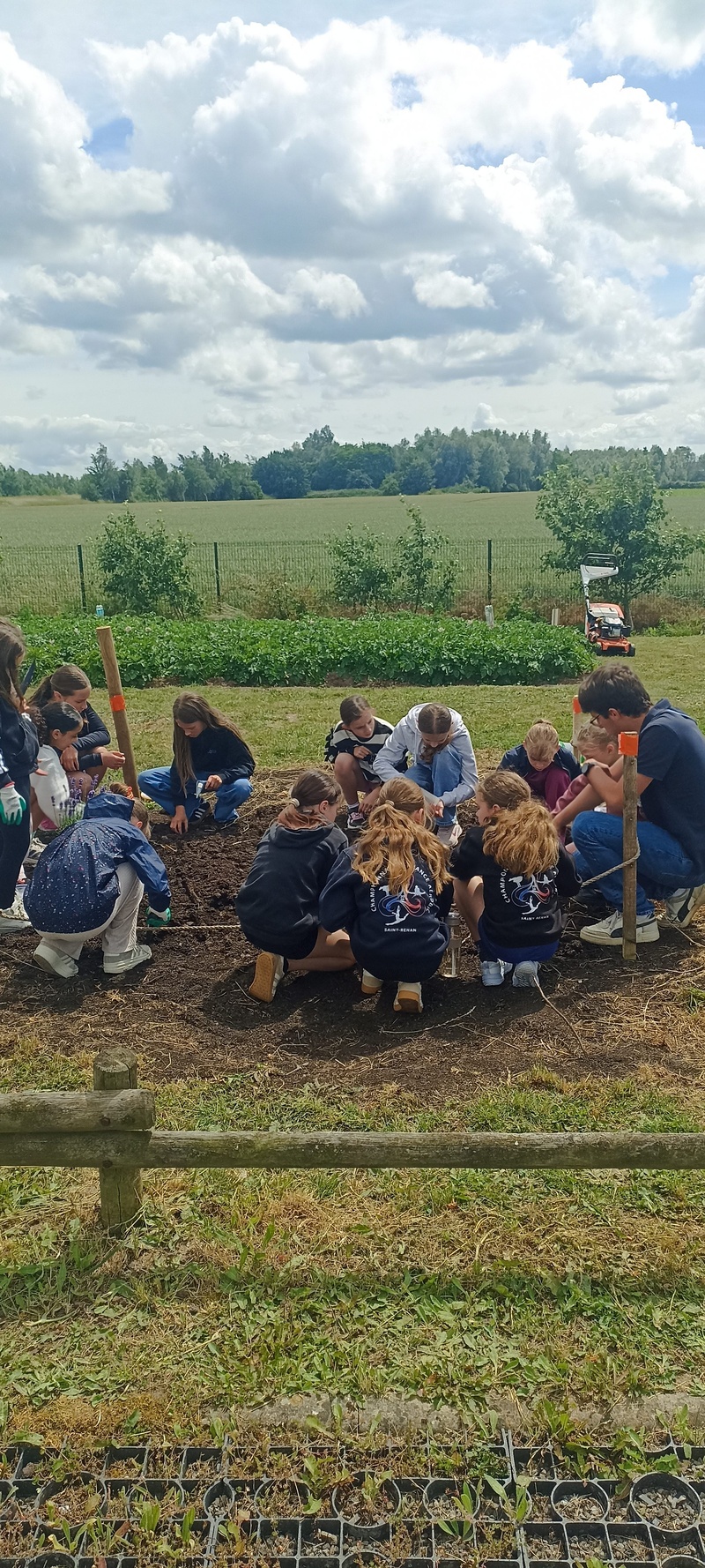 Tous au jardin : à la découverte des pollinisateurs