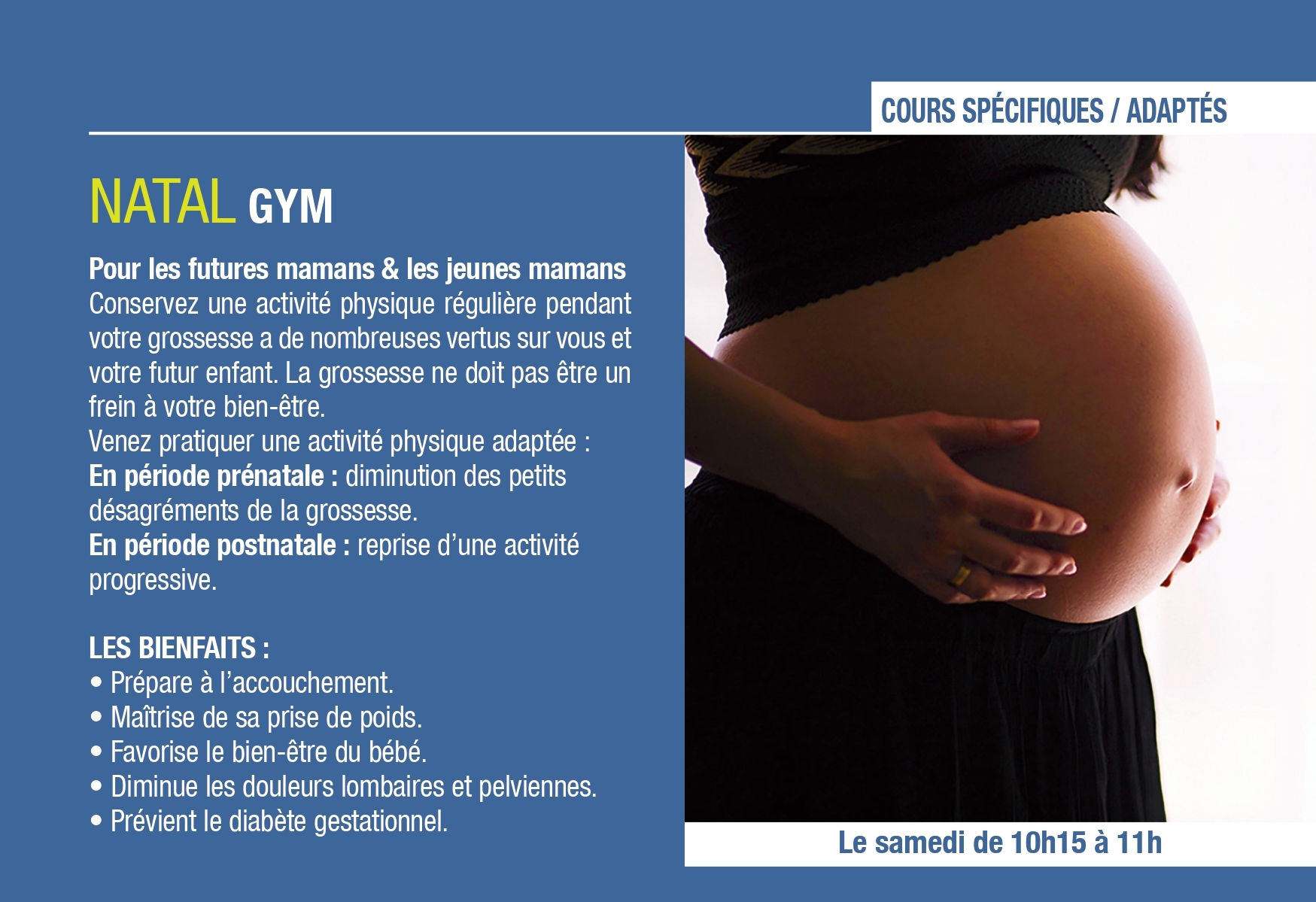 AMGA 2023/2024: Des activités gymniques de qualité pour toute la Famille