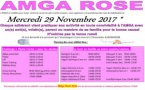 AMGA Rose le Mercredi 29 Novembre 2017 au Complexe Gymnique d'Arques