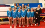 Gymnastique Artistique féminine Performance par Equipe : Finale Départementale Un titre de Champion Départemental et une 3ème place pour l’AMGA