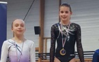 Championnat Interdépartemental de Gymnastique Artistique Féminine à Saint Laurent Blangy les 17 et 18 Février 2018