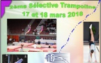 2ème Sélective Trampoline et Finales Interdépartementales de Gymnastique Aérobic 17 et 18 mars 2018