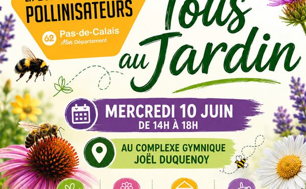 Tous au jardin : à la découverte des pollinisateurs