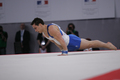 La Gymnastique en images
